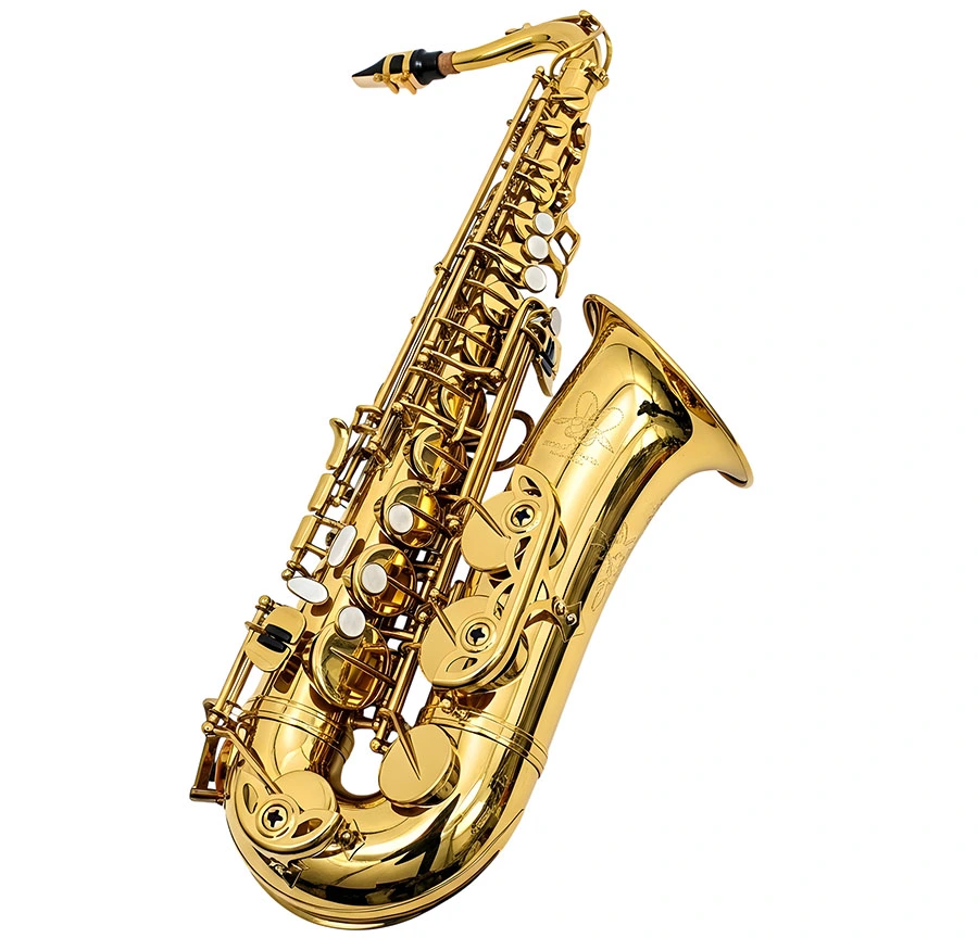 Why Choose Chorus Music Academy