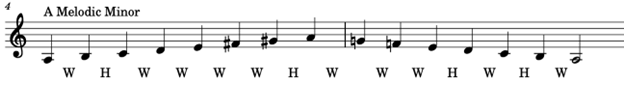 Detailed Guide for Young Musicians