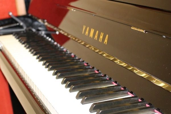 Experienced and Qualified Instructors